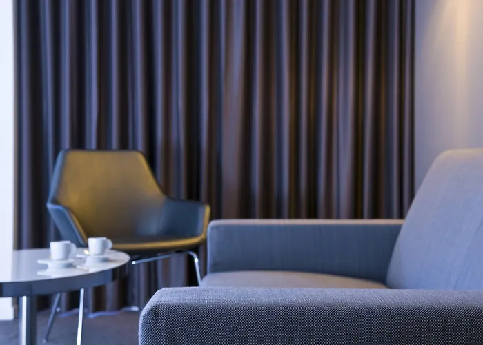 Radisson Blu נאנט