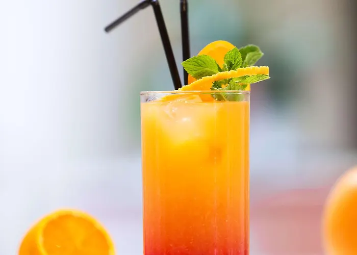 ラディソン ブル 4* ナント